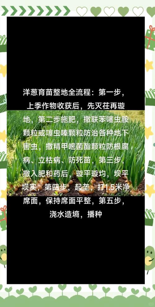 如何用洋葱预防花盆生虫？天然驱虫妙招​