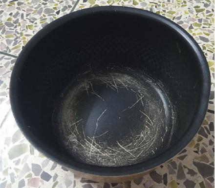 用钢丝球刷电饭煲内胆会掉涂层？厨房电器保养​