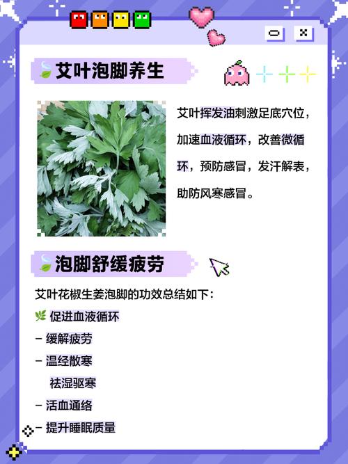 冬季泡脚加什么好？艾叶、生姜、花椒功效对比