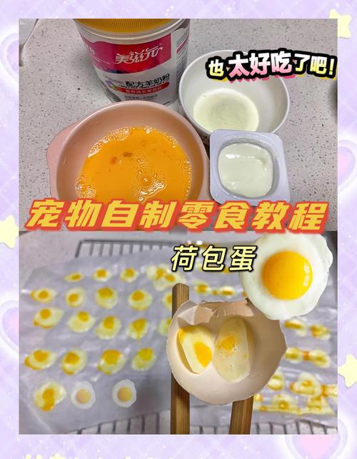 教你自制宠物零食，健康又省钱