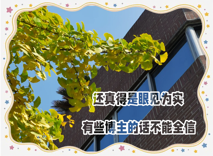 短剧行业 “跟风创作” 陷阱：同质化内容的危机与出路​