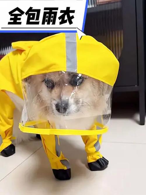 雨伞改宠物雨衣：反光条缝制与活动关节设计​