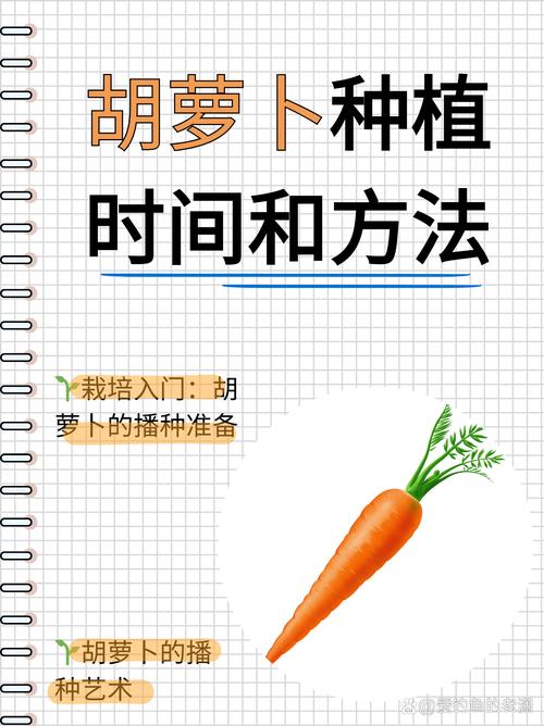 阳台种菜入门指南：新手也能收获的蔬菜选择