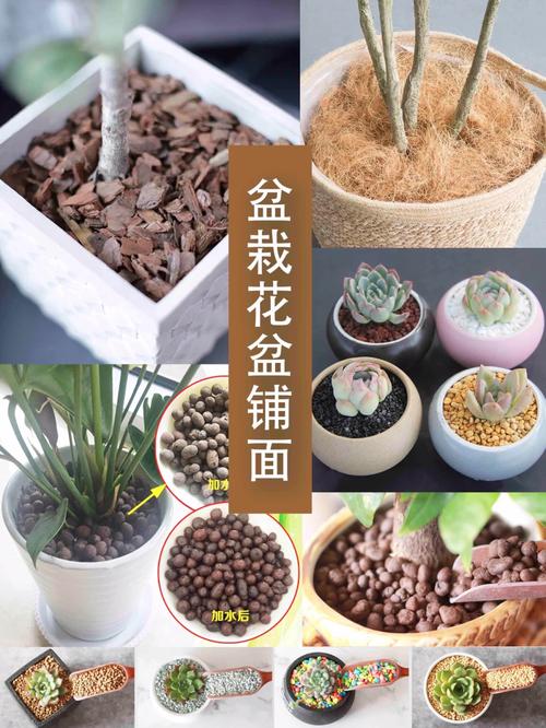 花盆里的杂草除不尽？这些覆盖物抑制方法​