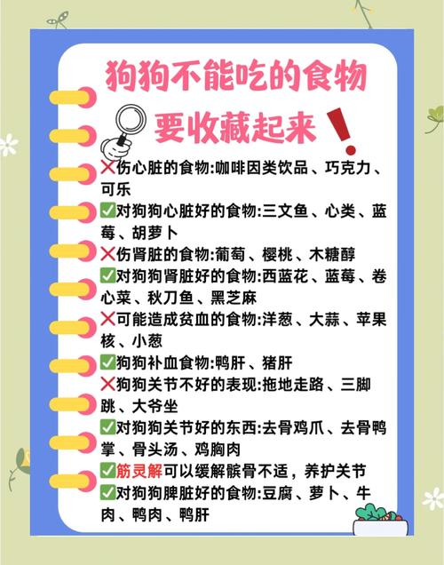 狗狗不能吃的人类食物清单：这10种要牢记