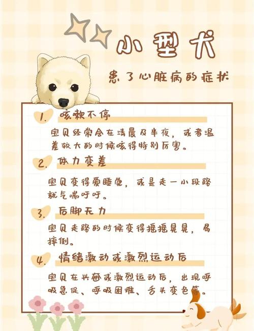 宠物生病的常见症状,及时发现早治疗