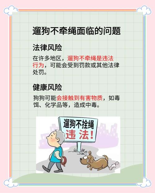 遛狗不拴绳违法！宠物主人责任须知