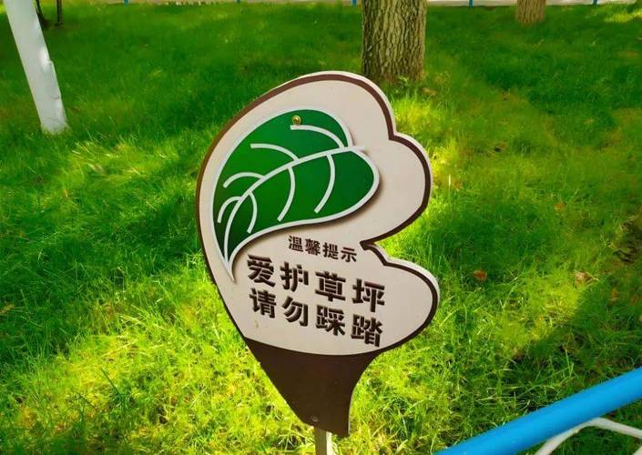 保护绿地与树木，不随意攀折踩踏