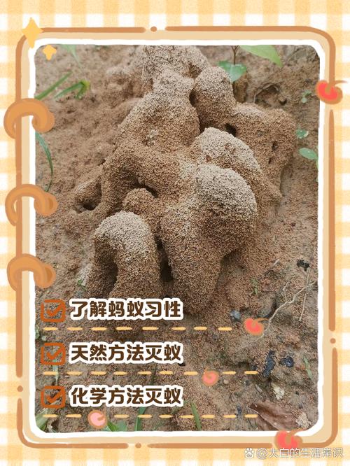 花盆里的蚂蚁成灾？橡皮筋 + 薄荷油驱赶法​