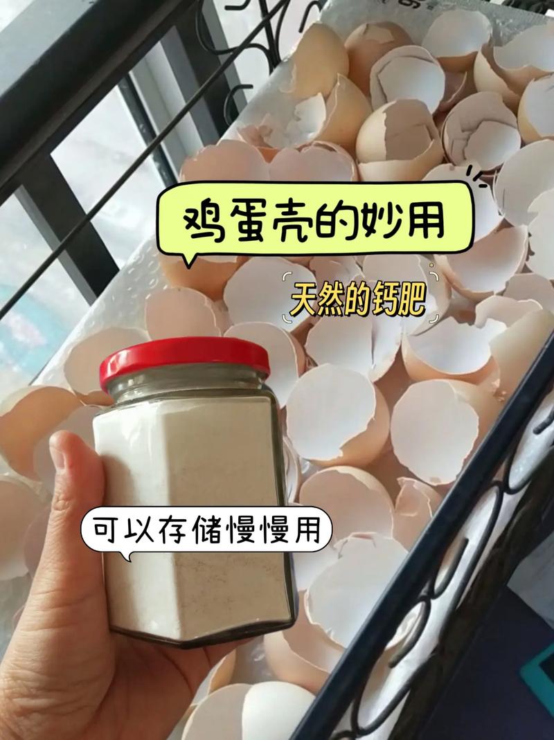 鸡蛋壳制作钙肥，养花营养配方大公开​