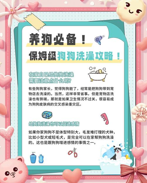 教你给宠物洗澡不被咬！正确步骤在这里
