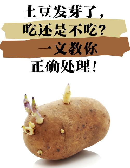 发芽的土豆、发霉的花生…哪些食物变质绝对不能吃？