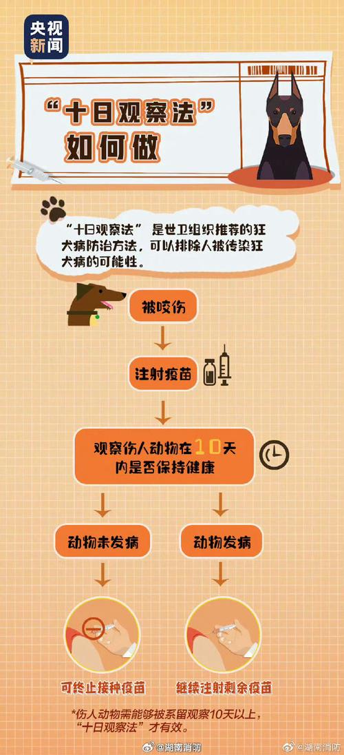 被猫狗咬伤后：这 3 个冲洗消毒步骤分秒必争