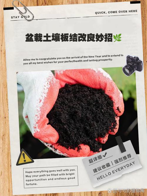 花盆土壤板结活化:蚯蚓粪 + EM 菌剂混合法