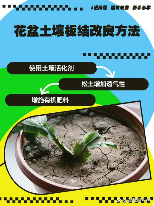 花盆土壤板结?蚯蚓粪 + 松针改良