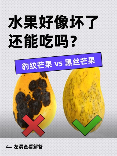 水果烂了一点还能吃吗？专家实验揭秘