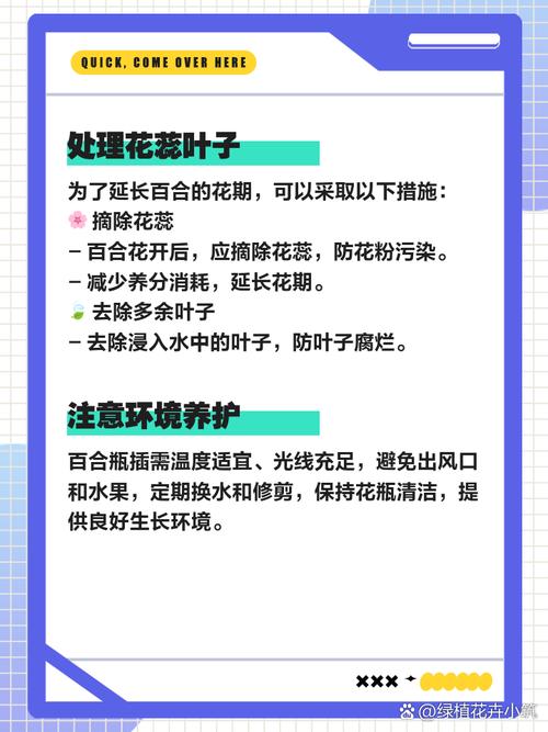 鲜花插瓶易枯萎?几个小窍门延长花期