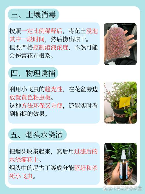 花盆土壤霉变处理？多菌灵灌根与紫外线杀菌​