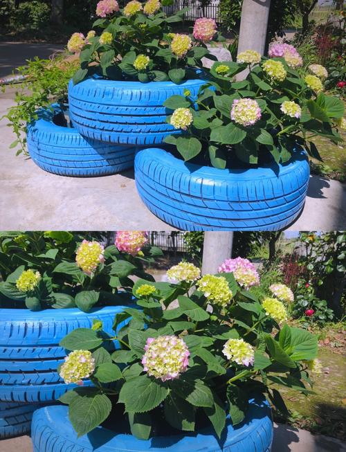 旧轮胎的3种花园装饰用法