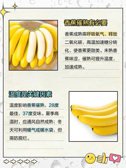 香蕉催熟芒果的最佳温度条件