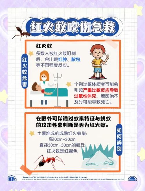 被红火蚁咬伤？肥皂水冲洗 + 冷敷消肿步骤​