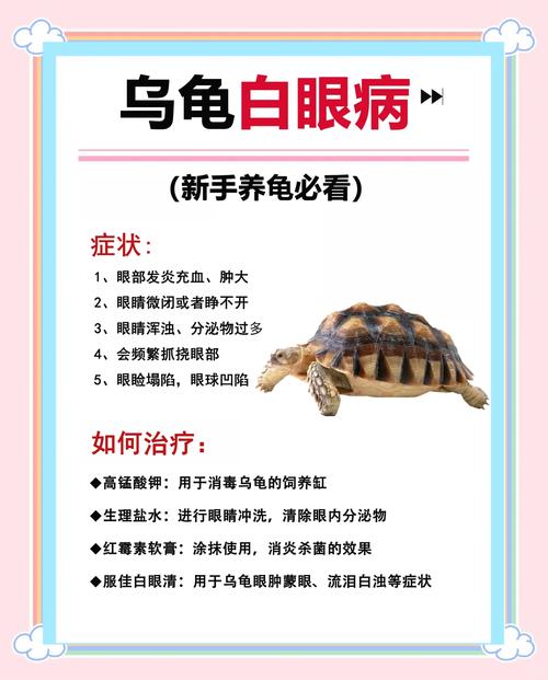 乌龟白眼病预防？定期换水 + 水质检测方法​