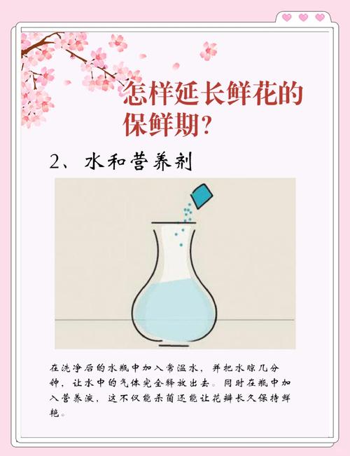 延长鲜花保鲜期的4个秘诀