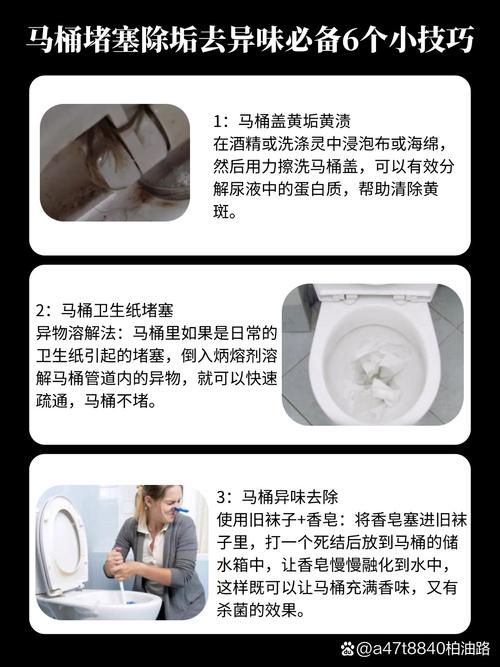为什么马桶要定期消毒？
