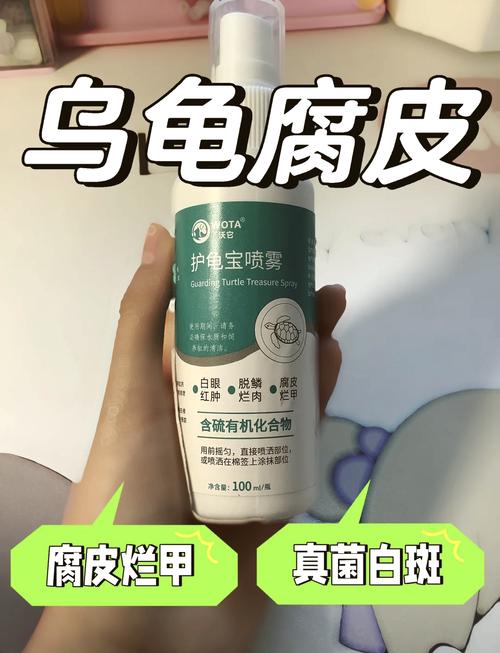 乌龟腐皮病治疗？聚维酮碘浸泡 + 干养护理​