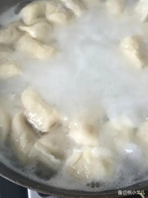煮饺子加盐防粘的原理