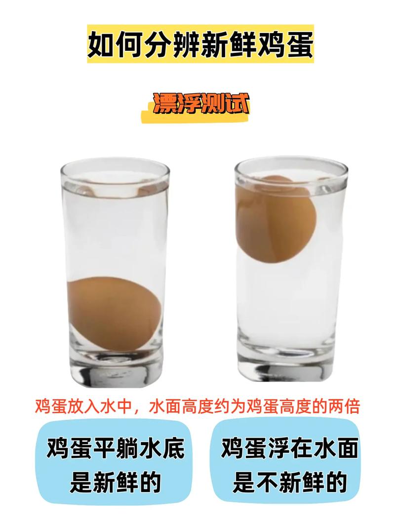 判断鸡蛋新鲜度的3个简单方法