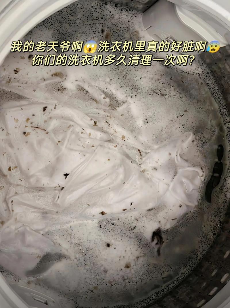 洗衣机用完门开着还是关着?显微镜下的霉菌对比