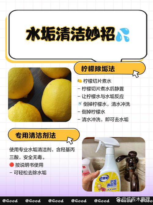 旧牙刷清洁水壶水垢的妙招