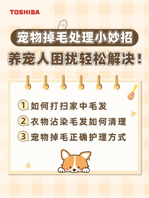 应对宠物掉毛：家庭清洁的有效方法