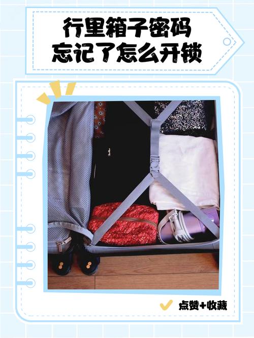 旅行箱里最该带却总被遗忘的6件物品