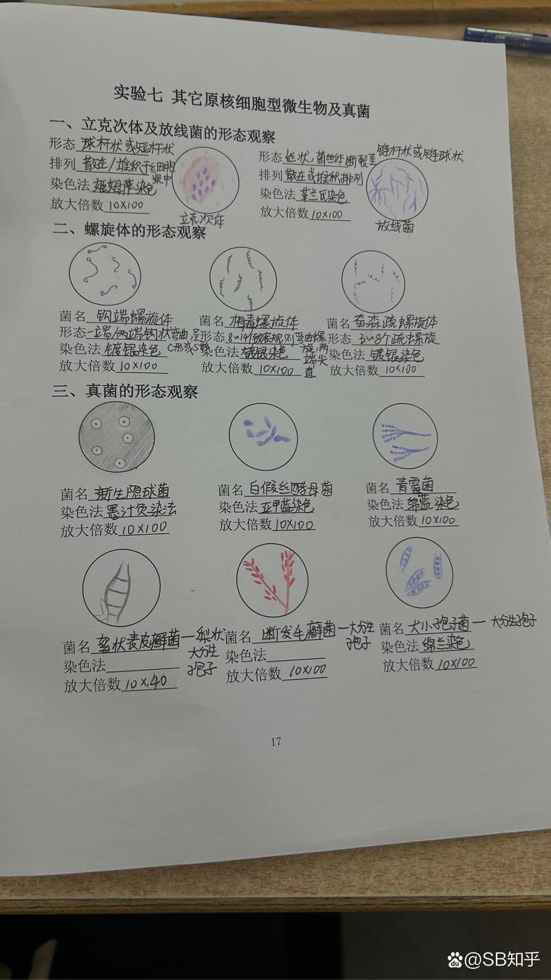 塑料瓶装酱油醋=加速变质？微生物检测报告