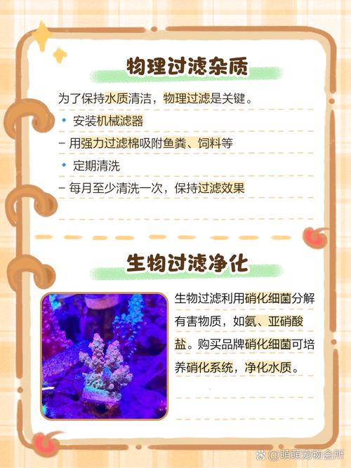 用茶叶渣清洁鱼缸,水质更清澈