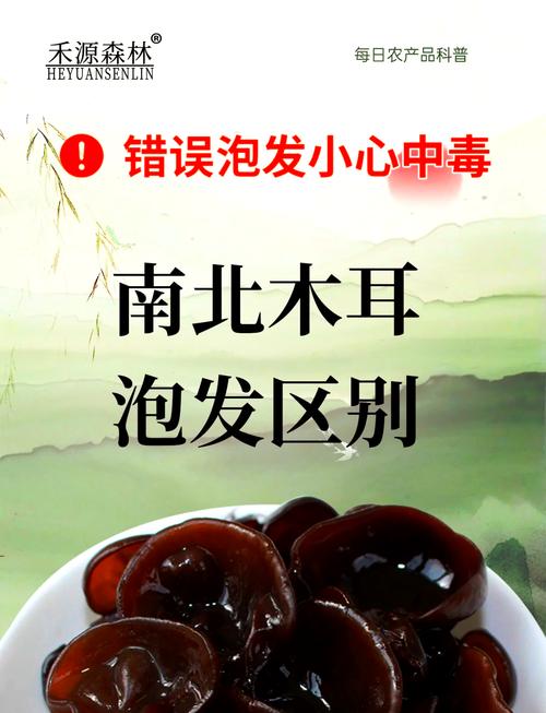 泡发木耳超过这个时间可能中毒