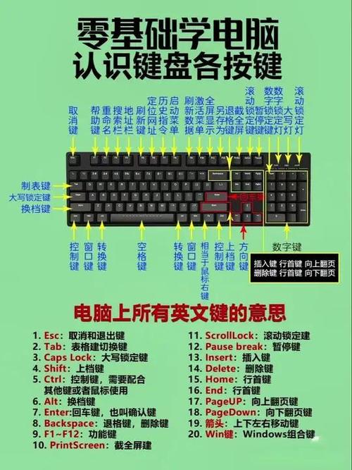 电脑键盘字母为什么不按顺序排列?打字机历史揭秘