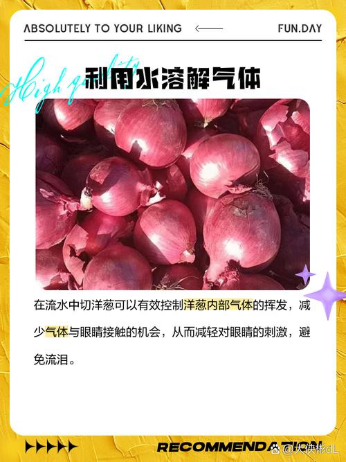 5种科学方法帮你切洋葱不流泪