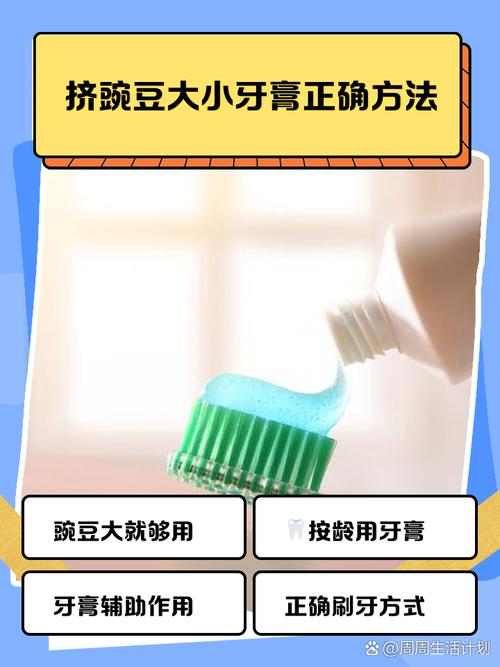 为什么牙膏要挤黄豆大小?