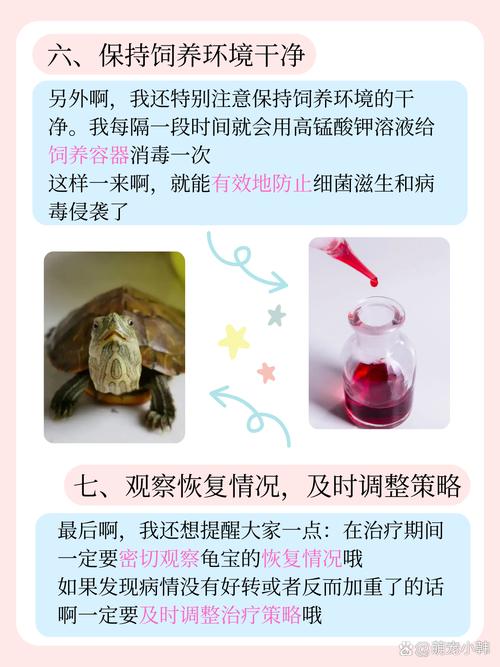 乌龟白眼病治疗？红霉素眼膏 + 干养护理指南​