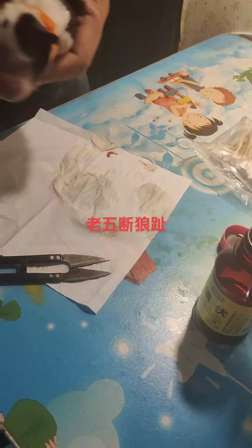 剪刀消毒？用「碘伏」