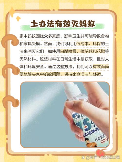 蚂蚁入侵的阻断策略