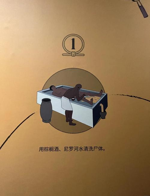 古埃及木乃伊的制作过程
