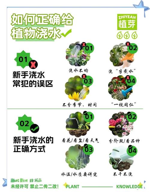 简单判断植物是否需要浇水