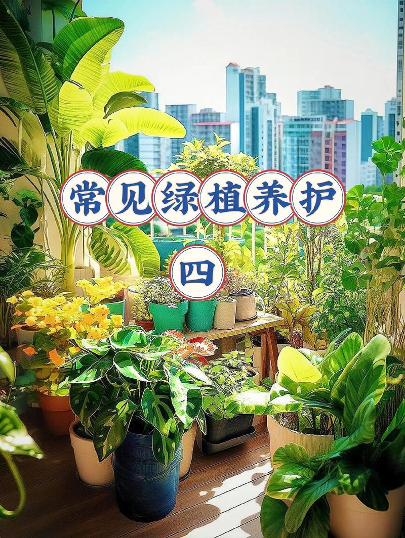 绿植养护:让家充满生机