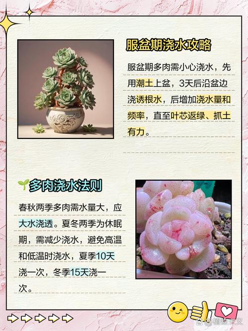 多肉植物防虫技巧！大蒜水 + 小苏打喷雾