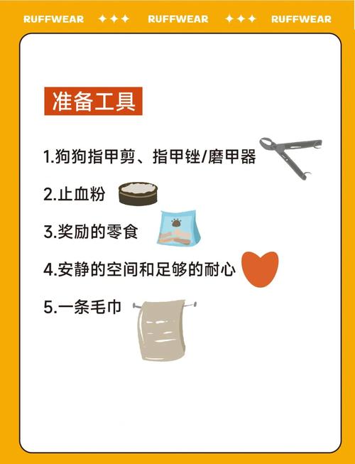 如何给宠物安全剪指甲