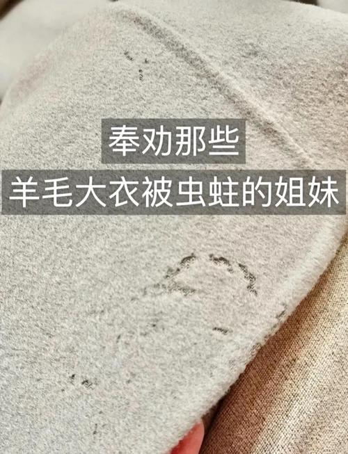 飞蛾蛀虫衣物防护